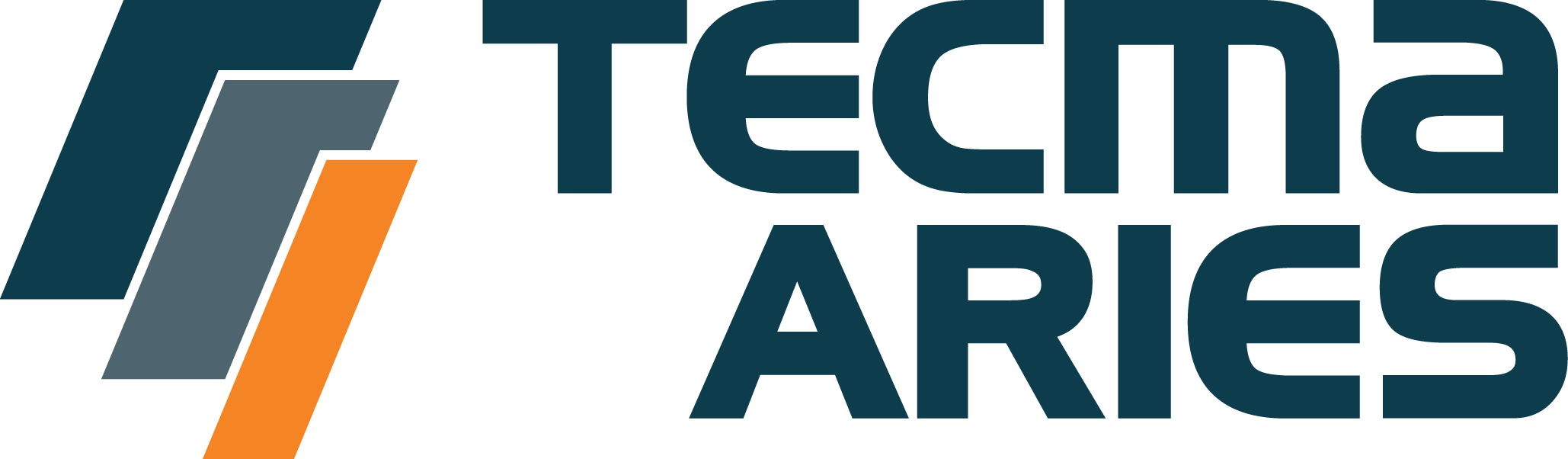 logo tecma aries